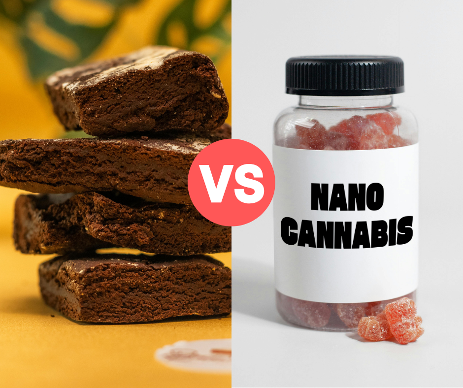 Traditional edible brownies versus Nanoemulsion Technology gummies